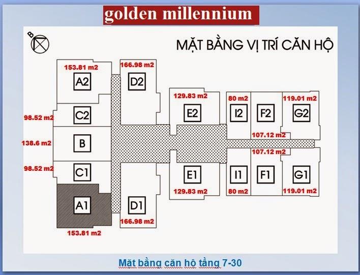 Mặt bằng căn hộ tầng 7-30 dự án Chung cư Golden Millennium Trần Phú