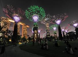 617988-singapore-garden-supertrees-lights
