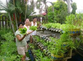 Vườn rau sạch 1 tại dự án Nam Phong Ecopark