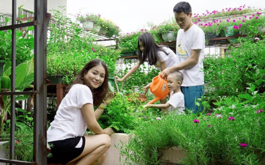 Vườn rau sạch tại dự án Nam Phong Ecopark