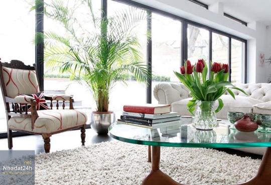 Trang trí bàn phòng khách bằng hoa tươi là một lựa chọn tuyệt vời cho ai muốn mang đến không gian Tết đầy màu sắc và tươi vui cho gia đình. Hãy cùng xem hình ảnh để lấy ý tưởng trang trí bàn phòng khách cho ngày Tết Năm 2024 của bạn.