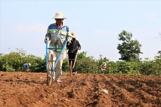 Những đối tượng phải nộp thuế sử dụng đất