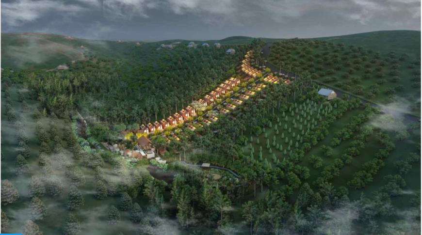 The Pine Hills Bảo Lâm