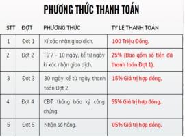 tien-do-thanh-toan-du-an-thang-long-luxury-bau-ban