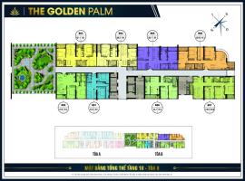 Mặt bằng tầng 10  tòa b dự án The Golden Palm Lê V